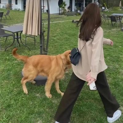 附身